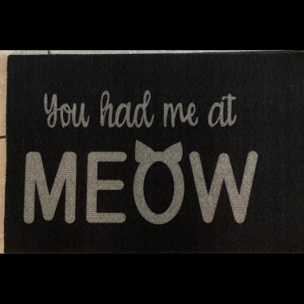 Set of 3 cat bowl placemats “You had me at meow”